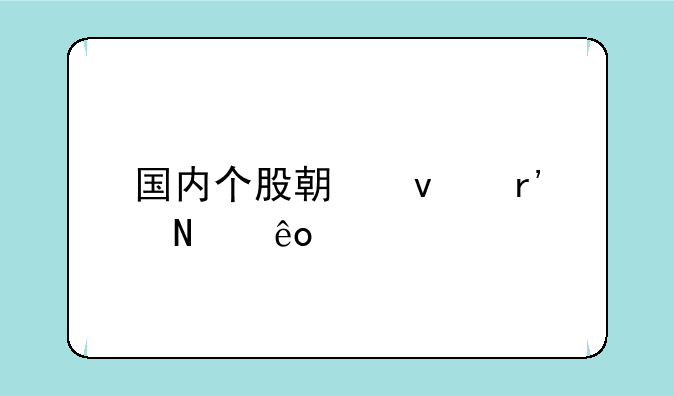 国内个股期权有哪些股票