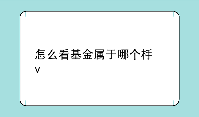 怎么看基金属于哪个板块