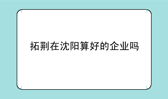 拓荆在沈阳算好的企业吗