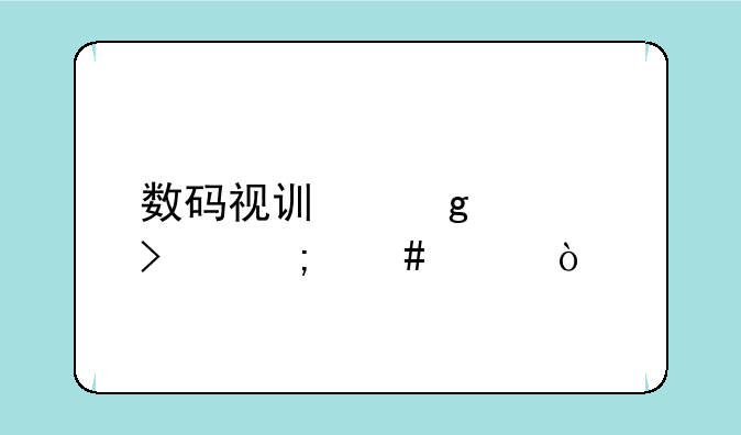 数码视讯这公司怎么样？