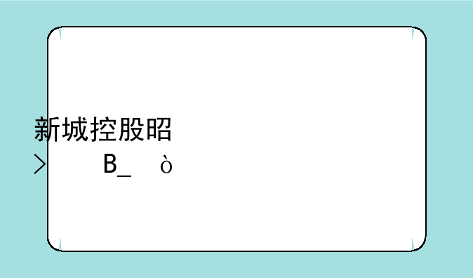 新城控股是上市公司吗？