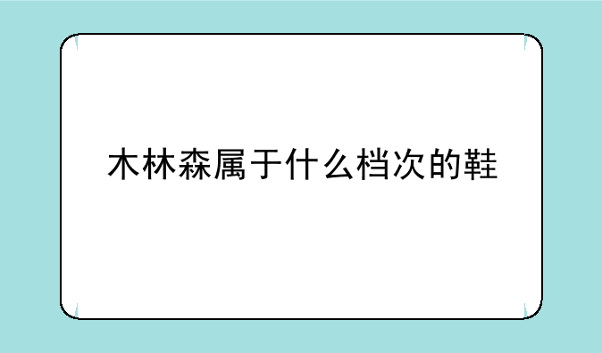 木林森属于什么档次的鞋