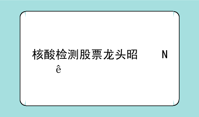 核酸检测股票龙头是哪些