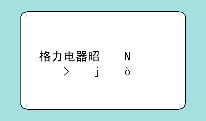 格力电器是哪个公司的？