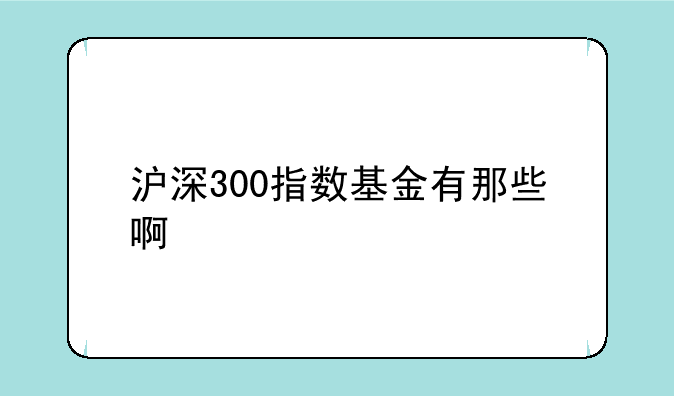 沪深300指数基金有那些啊