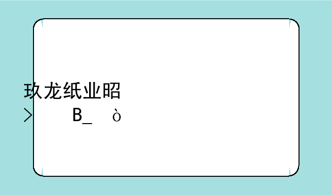 玖龙纸业是上市公司吗？