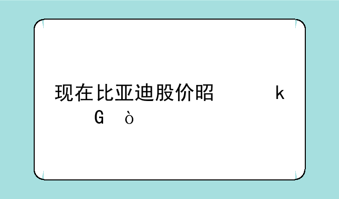 现在比亚迪股价是多少？