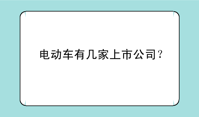 电动车有几家上市公司？