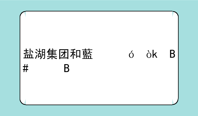 盐湖集团和藏格会合并吗