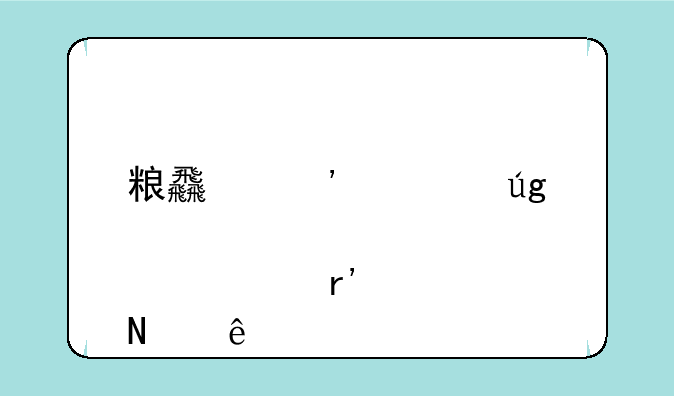 粮食安全龙头股票有哪些