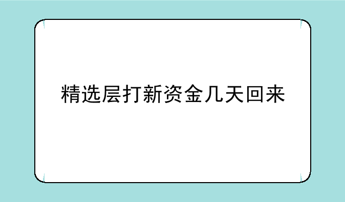 精选层打新资金几天回来