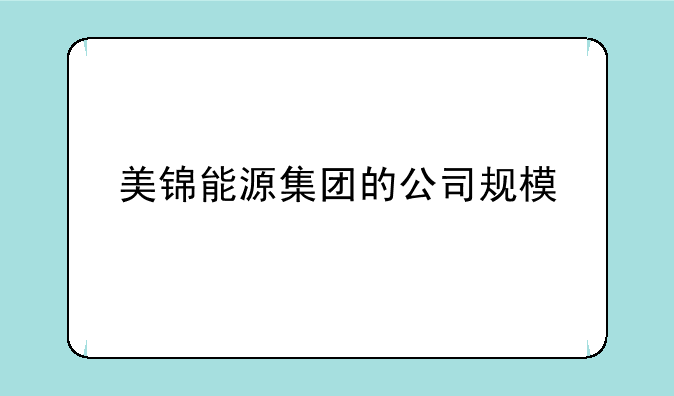 美锦能源集团的公司规模