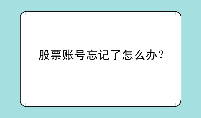 股票账号忘记了怎么办？