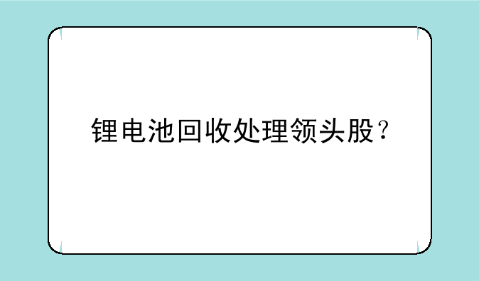 锂电池回收处理领头股？