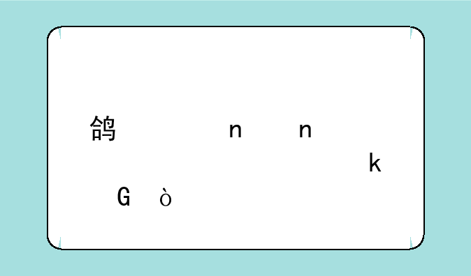 鸿海集团股票代码多少？