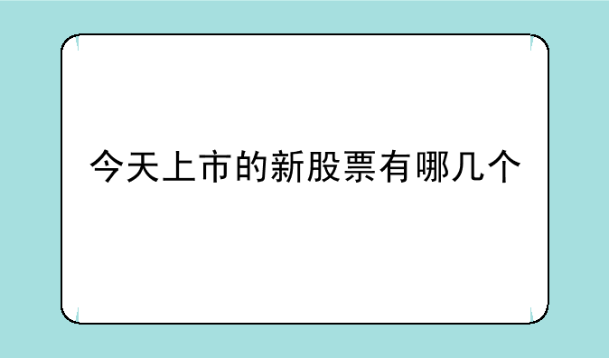 今天上市的新股票有哪几个