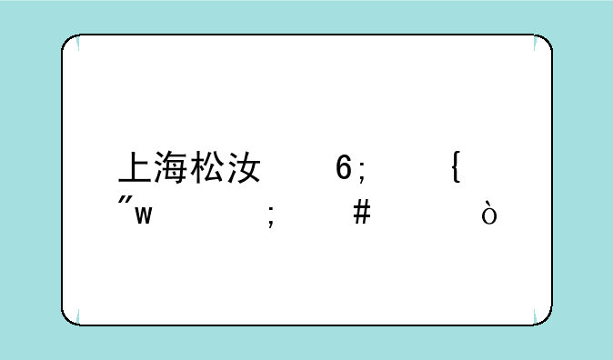 上海松江华实初中怎么样？