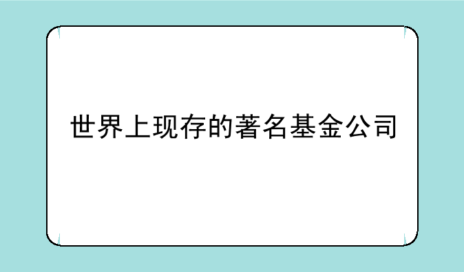 世界上现存的著名基金公司