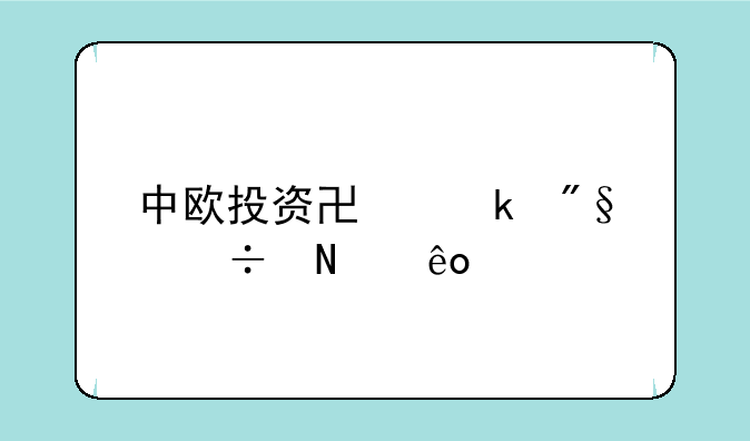 中欧投资协定利好哪些股票