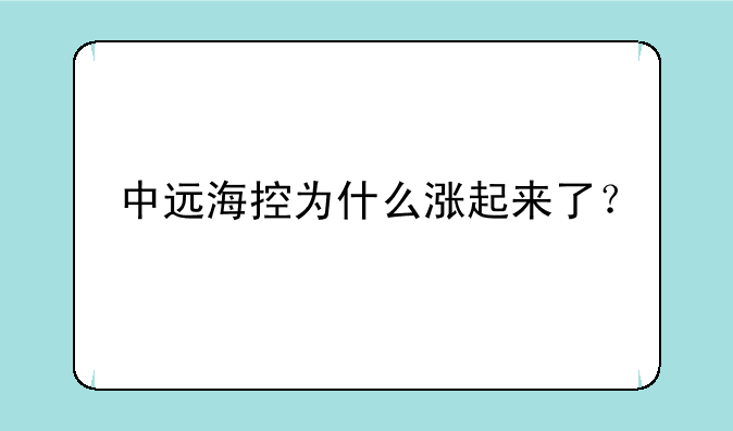 中远海控为什么涨起来了？