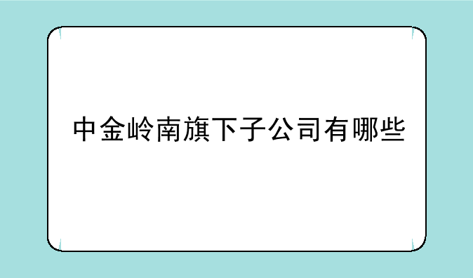 中金岭南旗下子公司有哪些