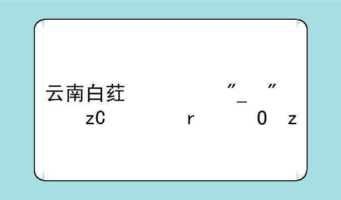 云南白药系列分析资本结构