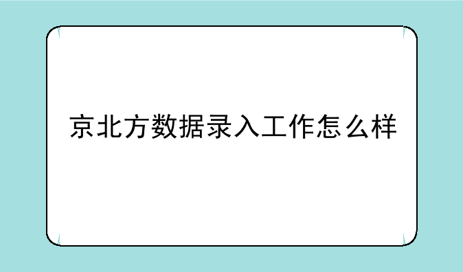 京北方数据录入工作怎么样