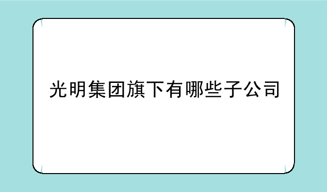 光明集团旗下有哪些子公司