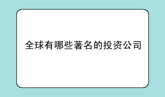 全球有哪些著名的投资公司