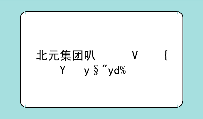 北元集团可以长线持有吗？