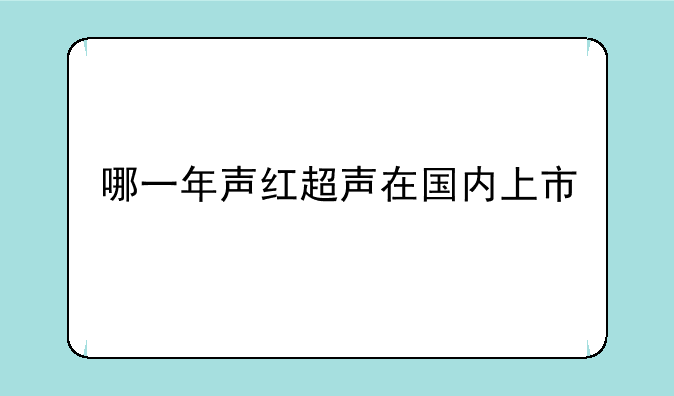 哪一年声红超声在国内上市