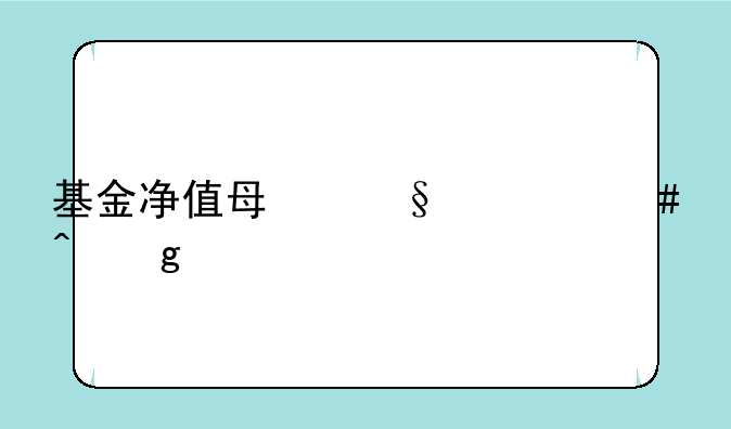 基金净值每天什么时候公布