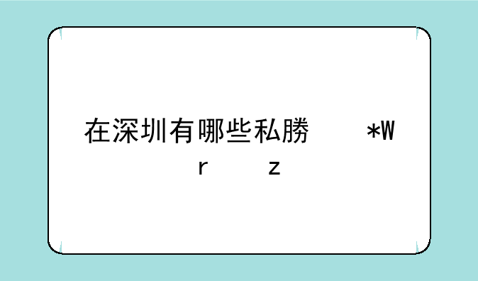 在深圳有哪些私募投资机构