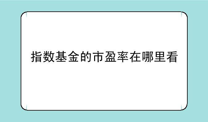 指数基金的市盈率在哪里看