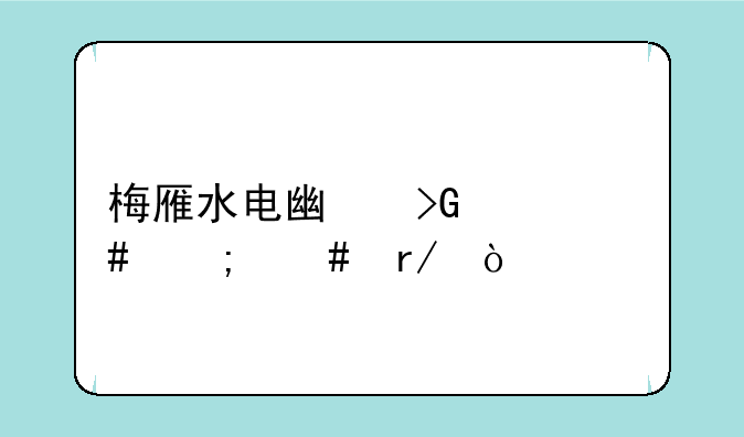 梅雁水电广发一案怎么看？