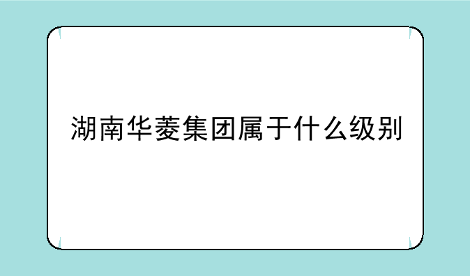 湖南华菱集团属于什么级别