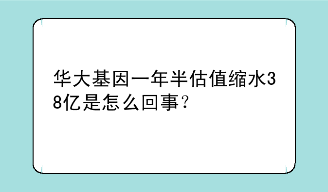 华大基因一年半估值缩水38亿是怎么回事？