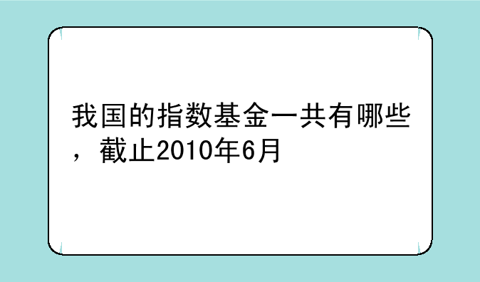 我国的指数基金一共有哪些，截止2010年6月