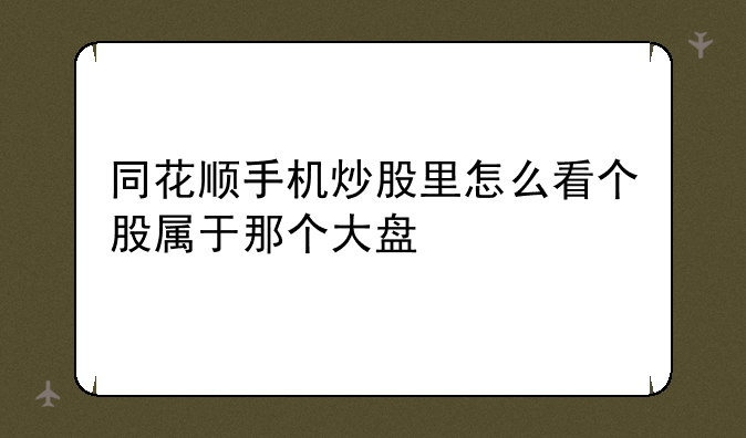 同花顺手机炒股里怎么看个股属于那个大盘