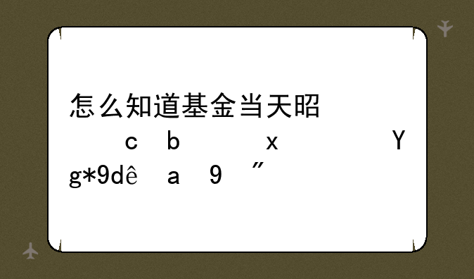 怎么知道基金当天是涨还是跌？在哪里看？