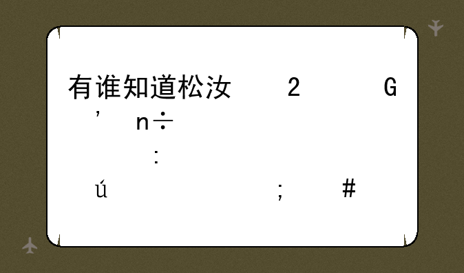 有谁知道松江区金安国纪那个厂待遇怎么样