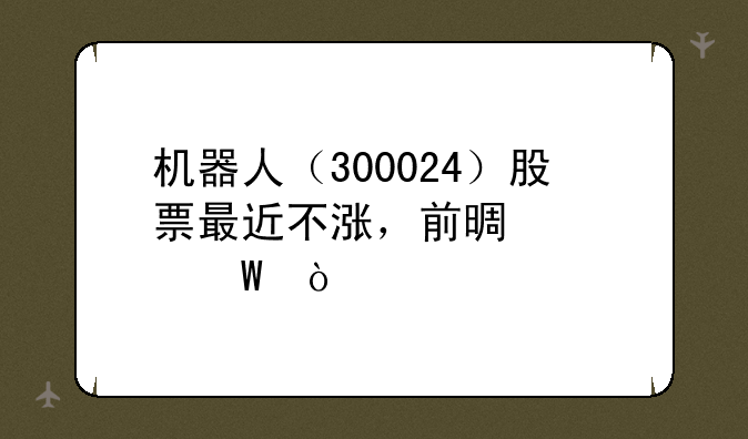 机器人（300024）股票最近不涨，前景如何？