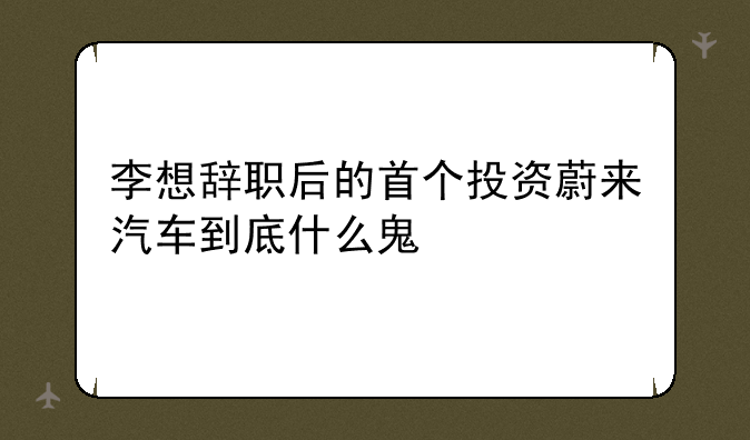 李想辞职后的首个投资***汽车到底什么鬼