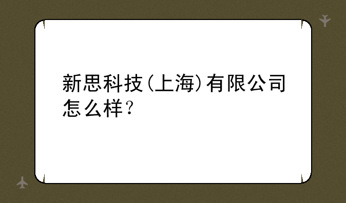 新思科技(上海)有限公司怎么样？