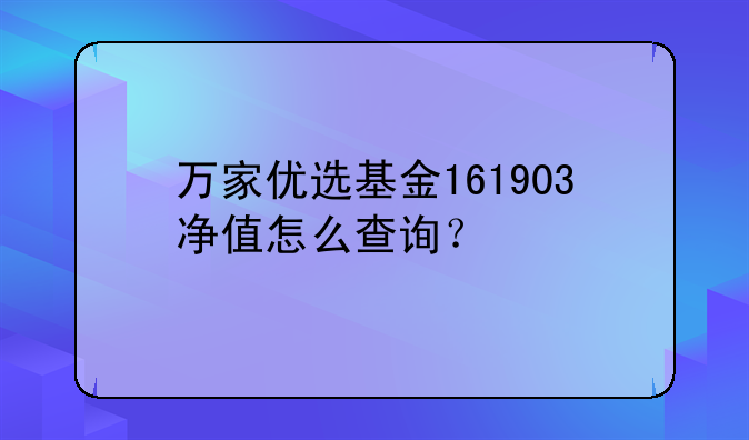 万家优选基金161903净值怎么查询？