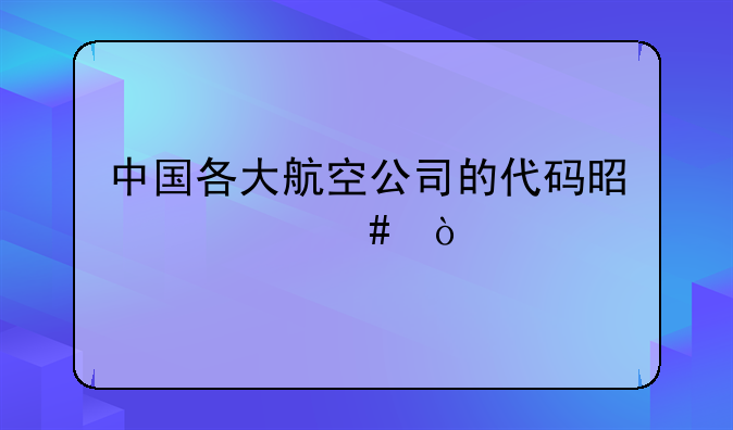 中国各大航空公司的代码是什么？