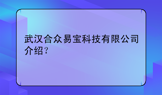 武汉合众易宝科技有限公司介绍？