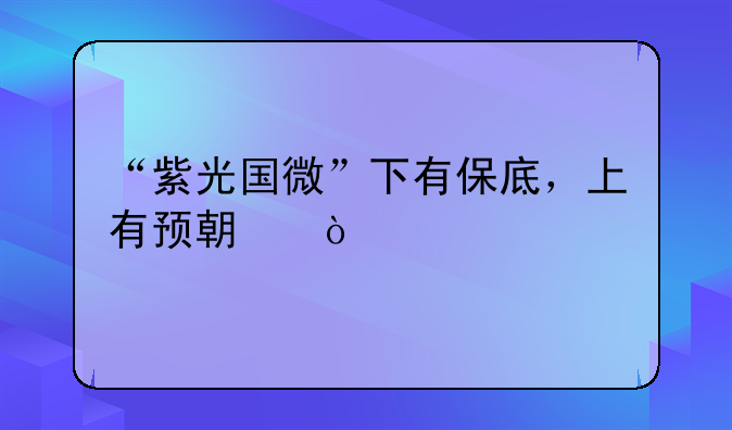 “紫光国微”下有保底，上有预期！