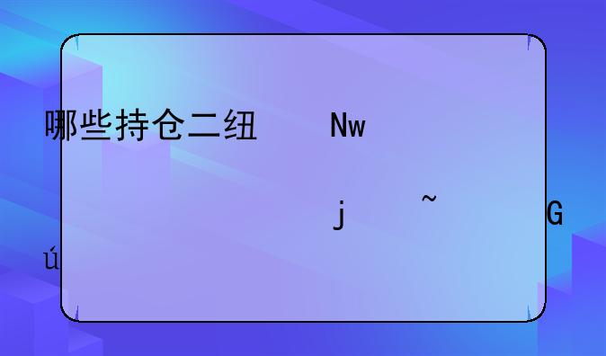 哪些持仓二线蓝筹股为主的基金较好