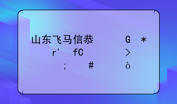 山东飞马信息科技有限公司怎么样？